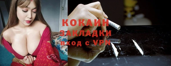 соль ск Алексин