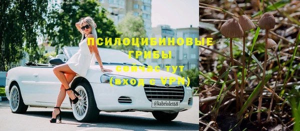 соль ск Алексин