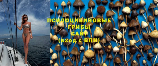 ГАЛЛЮЦИНОГЕННЫЕ ГРИБЫ Алексеевка