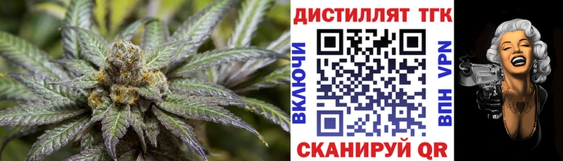 где найти   Павловский Посад  ТГК концентрат 